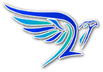 hawk-tilted-up